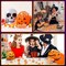 Halloween Resin Charms – 80 Pcs Mini Fake Pumpkins & Candy Corn, Small Ornaments for Halloween Decorations, DIY Crafts & Party Decor